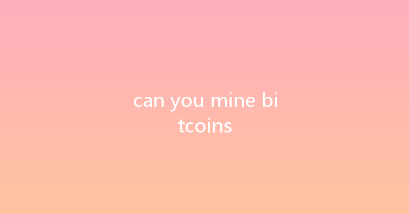 can you mine bitcoins 
